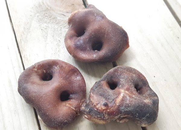 Piggy Snout Treats