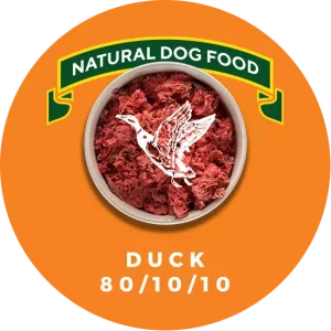 Dougie's Duck