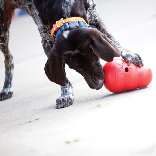 The KONG Wobbler™ Large - Image 2