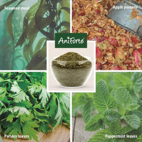 Aniforte Denta Clean & Care Powder for Dogs and Cats - Cleans Teeth and Gums Naturally - Image 3