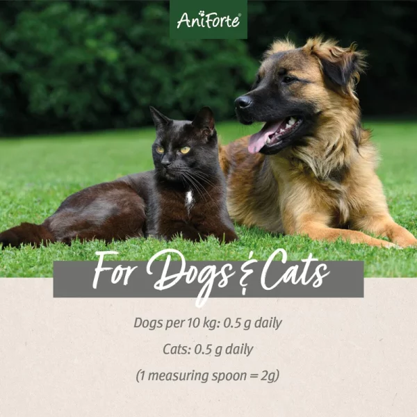 Aniforte Green Lipped Mussel Powder for Dogs and Cats - Joint Support Supplement - Image 3