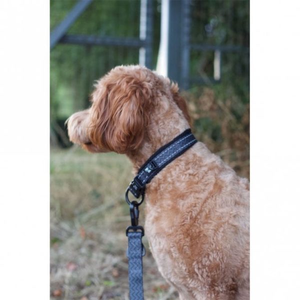 TWIGGY TAGS Collar - Image 2