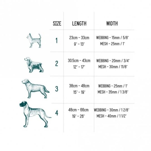 TWIGGY TAGS Collar - Image 3
