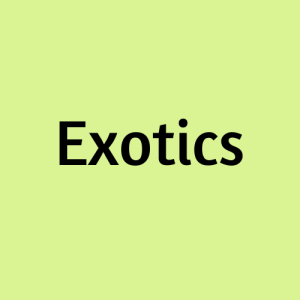 Exotics