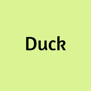 Duck