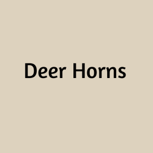 Deer Horns