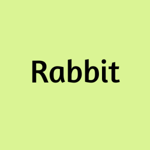 Rabbit