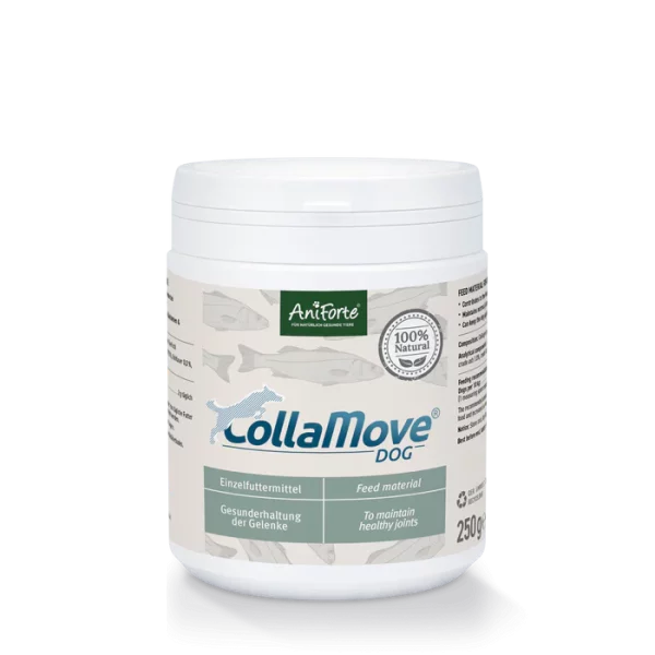 Aniforte Colla Move Dog 250g