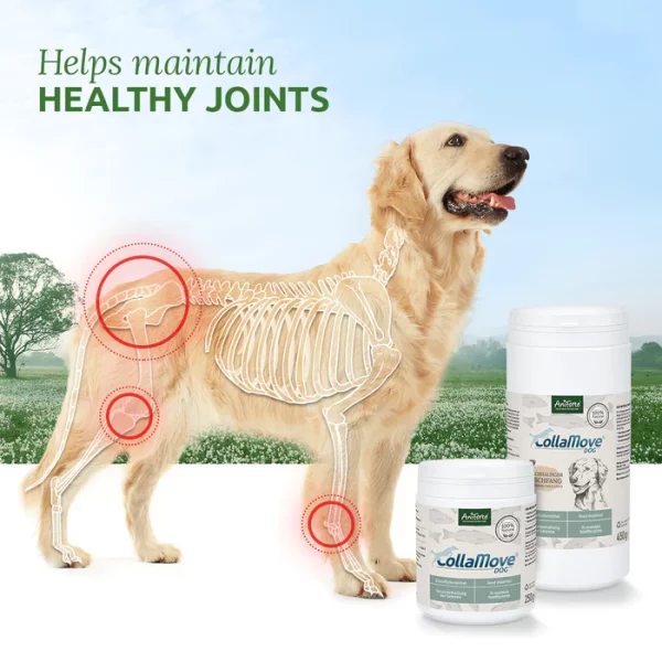 Aniforte Colla Move Dog 250g - Image 3