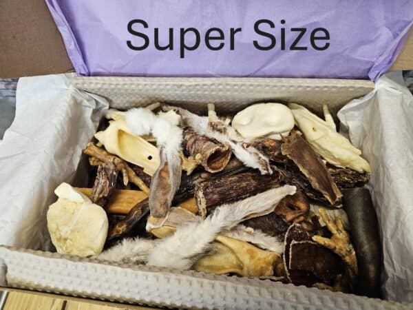 *NEW* Nellies Munch Boxes - Image 3