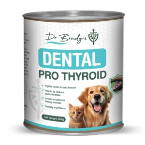 Dr Brady’s Dental ProThyroid – The natural way to clean teeth 300g