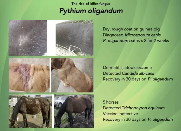 Propythium Effervescent Tablets x 3 - Image 4