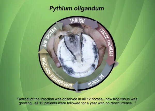 Propythium Effervescent Tablets x 3 - Image 5