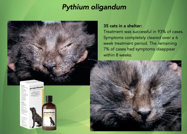 Propythium Effervescent Tablets x 3 - Image 3