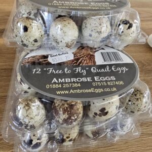 Quails Eggs
