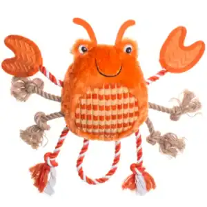 Under the sea Crab