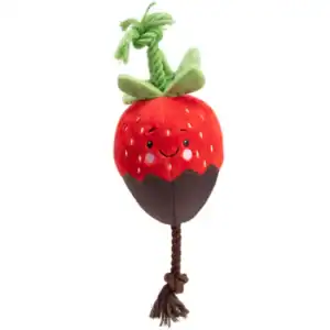 Chocolate Strawberry Dog Toy
