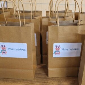 Festive Treat Bags