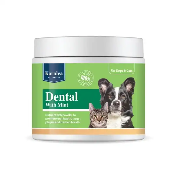 Karnlea Dental & Mint Powder for Dogs and Cats 200g