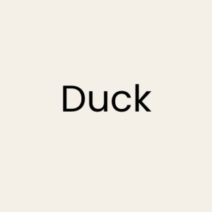 Duck